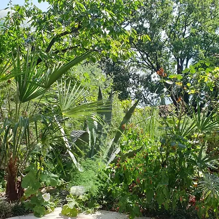 Doris Apartman Abbázia