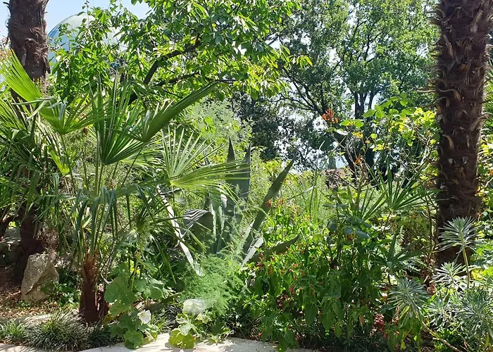 Doris شقة أوباتيا