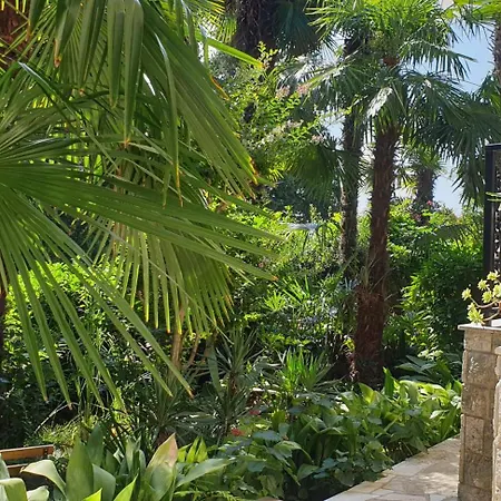 아파트 Doris 오파티아